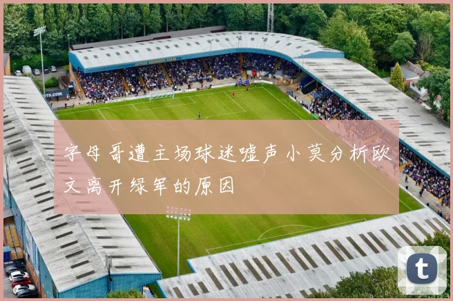 字母哥遭主场球迷嘘声小莫分析欧文离开绿军的原因