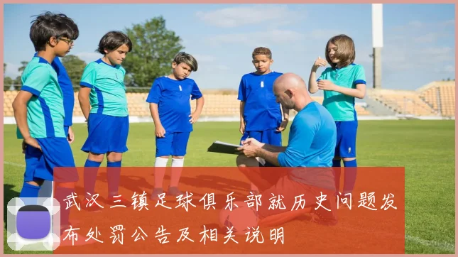 武汉三镇足球俱乐部就历史问题发布处罚公告及相关说明